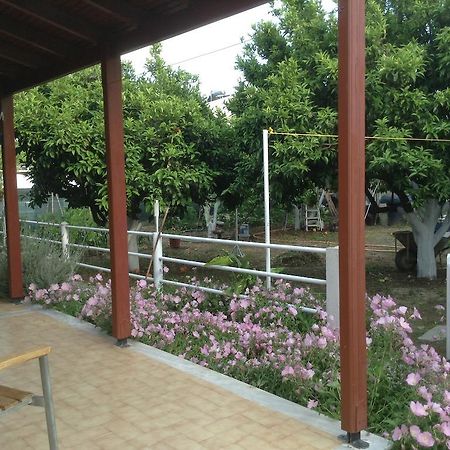Studios Lalu مدينة سكياثوس المظهر الخارجي الصورة