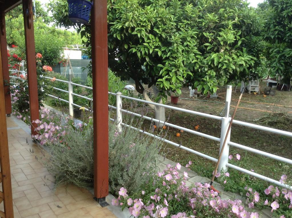 Studios Lalu مدينة سكياثوس الغرفة الصورة