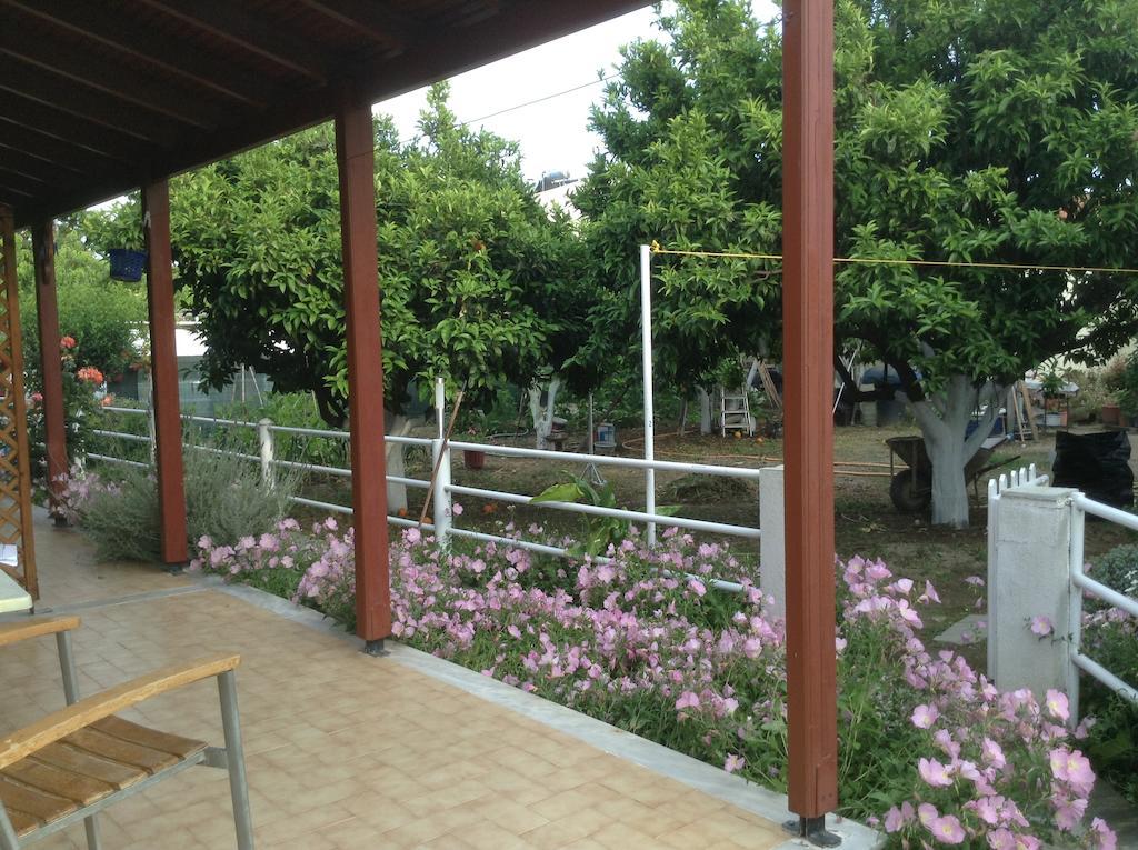 Studios Lalu مدينة سكياثوس المظهر الخارجي الصورة